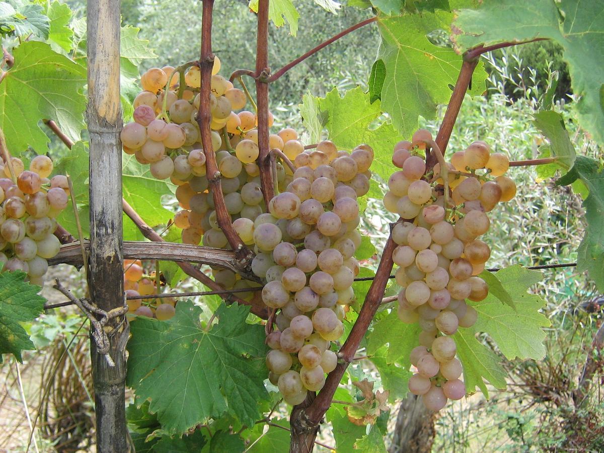 Luni La Sarticola 빌라 외부 사진